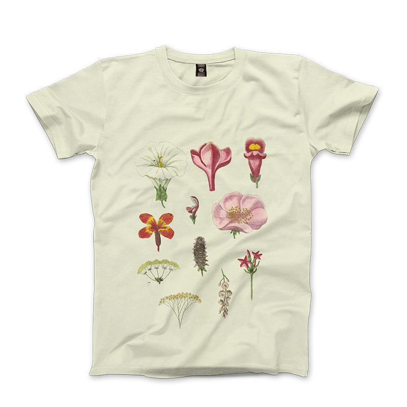 shop-img-3 i